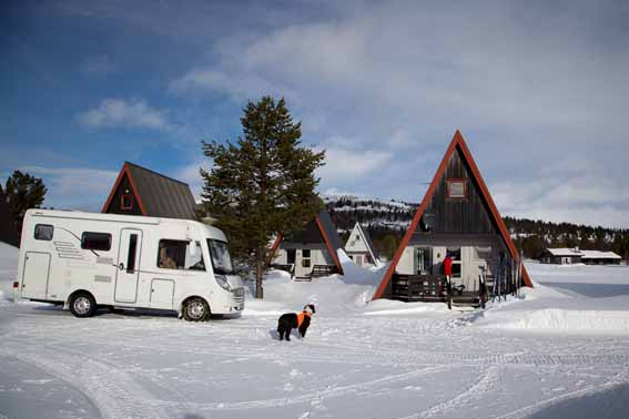 Krabbe vor Hütte 2