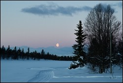 Morgenstimmung mit Mond