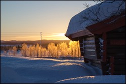 morgendliches Gegenlicht