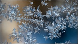 statt Geburtstagsblumen - Eisblumen am Fenster unserer Vorratskammer