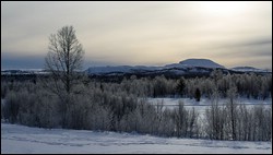 Winterlandschaft