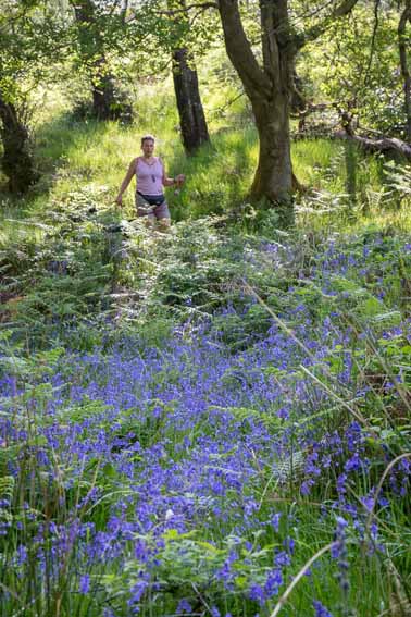 Blue Bells